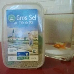 Gros Sel 1kg