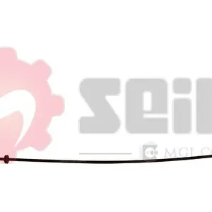 Gasvajer SEIM 554622