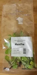 Menthe