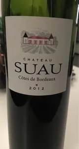 Chateau Suau
