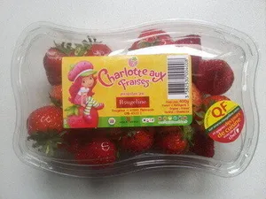 Fraises variété Charlotte