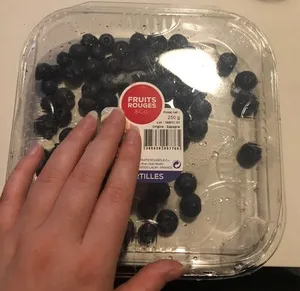 Myrtilles fruits rouges