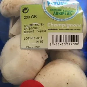 Champignons