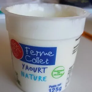 Yaourt nature