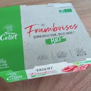 Yaourt bio framboise