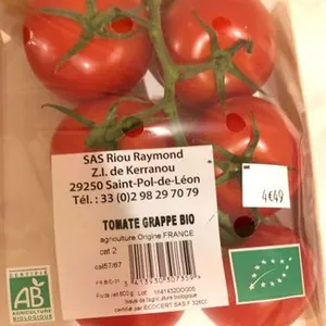 Tomate grappe bio
