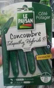 Concombre