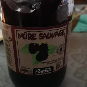 MÛRE SAUVAGE