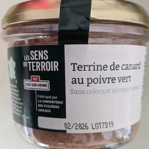 Terrine de canard au poivre vert