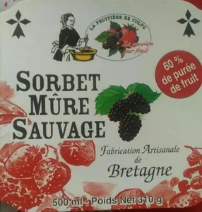 Sorbet mûre sauvage