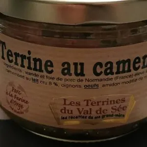 Terrine au camembert
