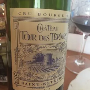Château Tour des Ternes