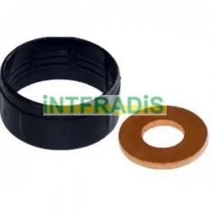 Packningssats, insprutningsmunstycke INTFRADIS 10125
