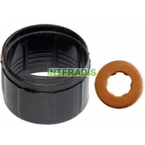 Packningssats, insprutningsmunstycke INTFRADIS 10127