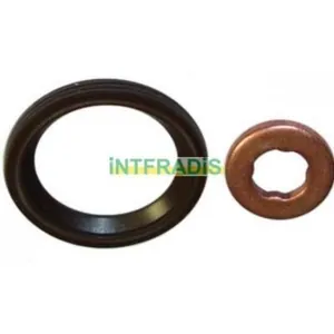 Packningssats, insprutningsmunstycke INTFRADIS 10128