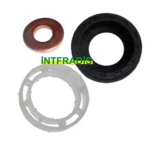 Packningssats, insprutningsmunstycke INTFRADIS 10199