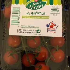 Tomates cerise en grappes - Notre jardin