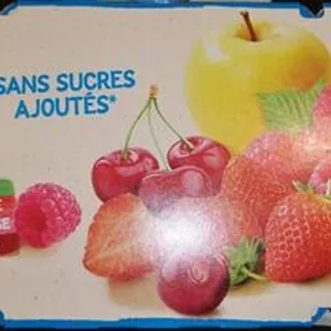 Compotes sans sucrés ajouté