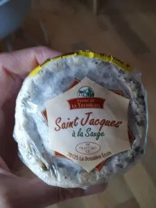 saint Jacques à la sauge