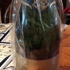 Francois Montand brut