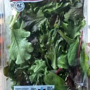 Melange de jeunes pousses de salades