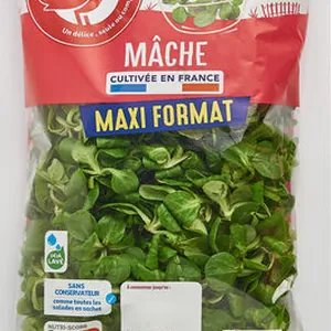 Mâche Maxi Format