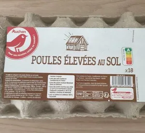 Œufs de poules élevées au sol