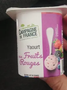 Yaourt aux fruits rouges