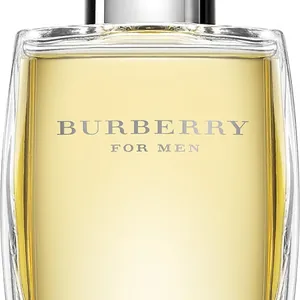 Burberry Eau De Toilette Spray för män 50ml