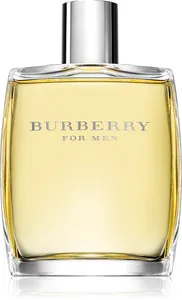 Burberry Herrspray 100ml