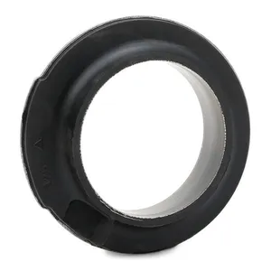 Fjädermontering SASIC 2650035