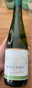 Muscadet