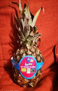 Ananas