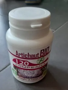 Artichaut bio