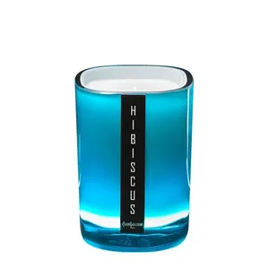 Pierre Guillaume Hibiskus ljus