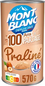 Crème Dessert Praliné