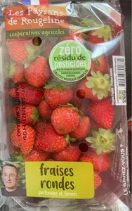Fraises rondes