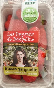 Fraises gariguette