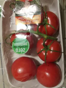 tomates rondes en grappe *