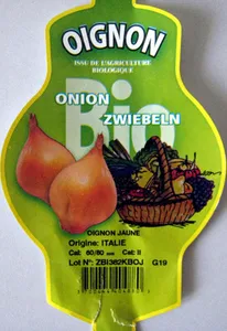 Oignon jaune bio Ferme de la Motte