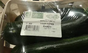 courgettes