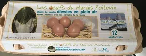 Les oeufs du marais poitevin