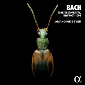 Bach: 6 Violin Sonatas & Partitas Bww 1001-1006