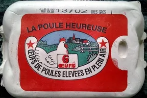 Oeufs de poules élevées en plein air