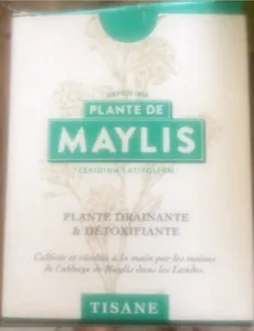 Plante de Maylis