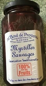 Myrtilles Sauvages