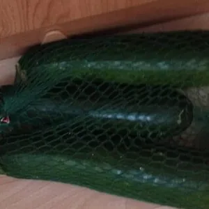 Courgettes
