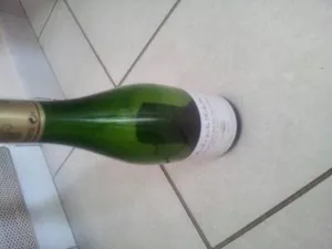 L'arche De La Rebellerie