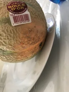 Melon