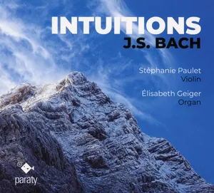 Paulet Stephanie: Intuitions